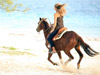 Horseback Riding